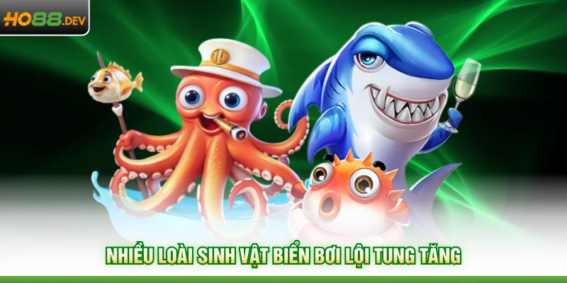 Nhiều loài sinh vật biển bơi lội tung tăng